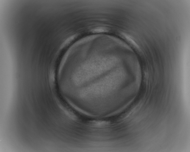 X0000113640539200910091539