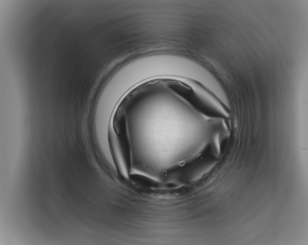 X0000113640540200910091539