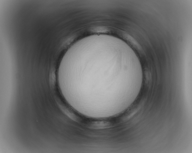 X0000113640541200910091539