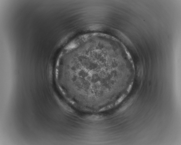 X0000113640542200910091539