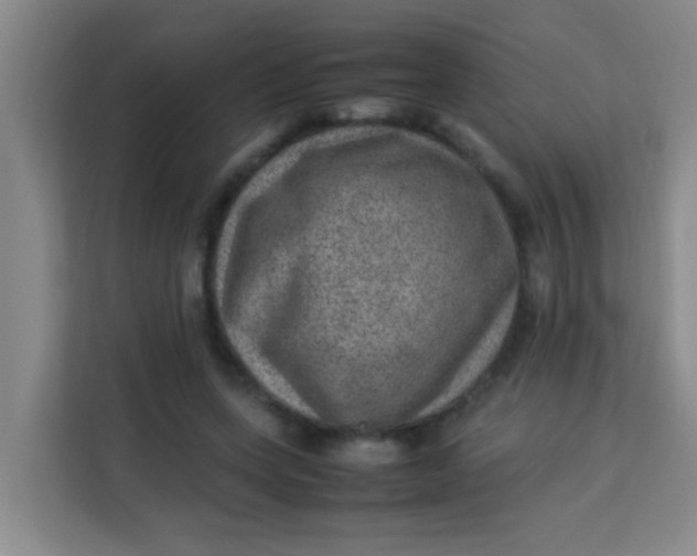 X0000113640543200910091539