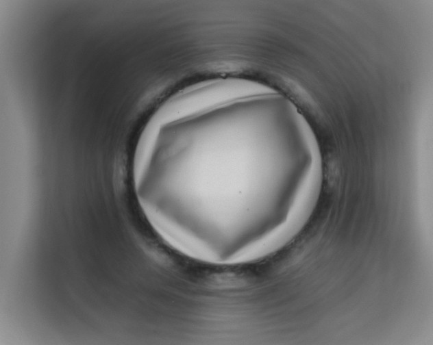 X0000113640544200910091539