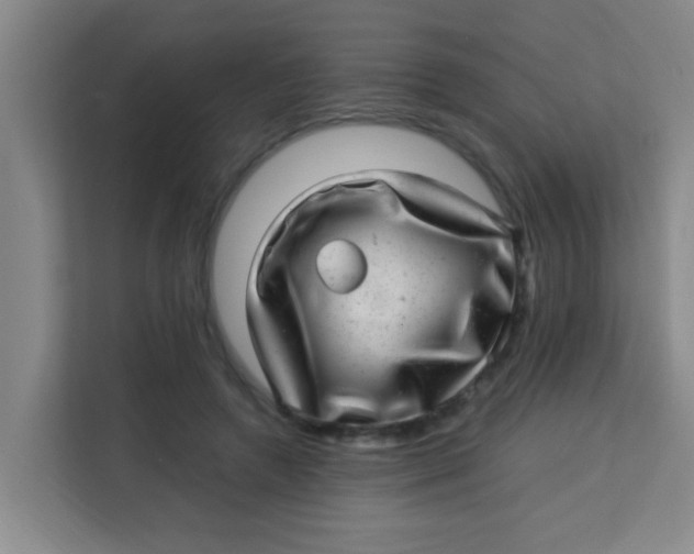 X0000113640546200910091539