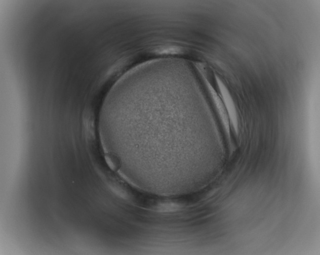 X0000113640547200910091539