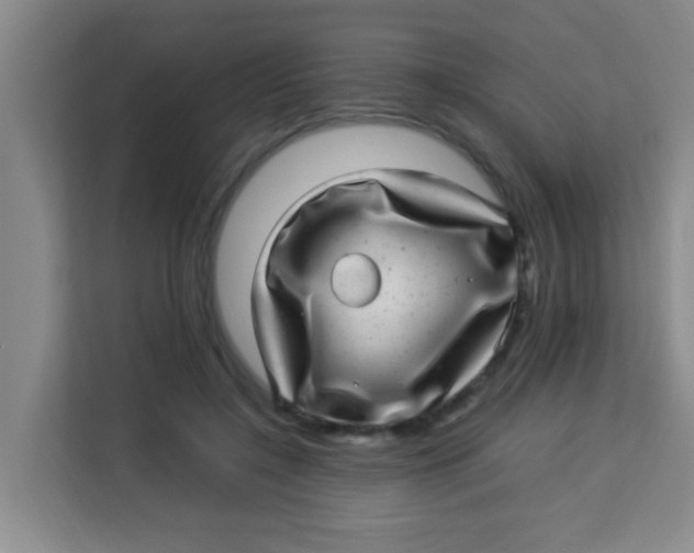 X0000113640548200910091539