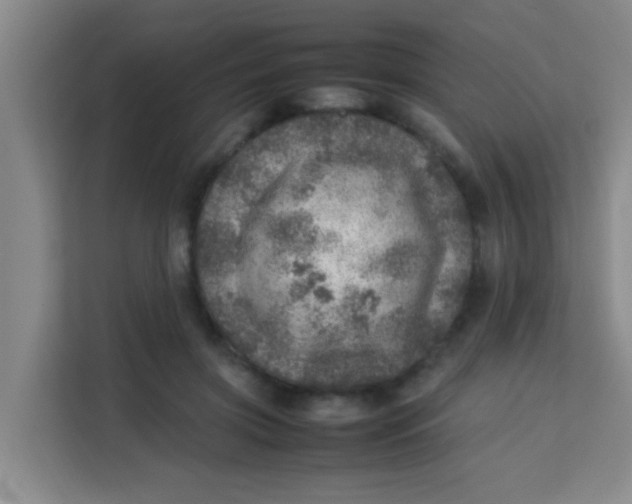 X0000113640549200910091539