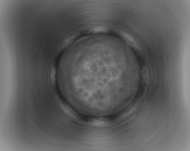 X0000113640550200910091539