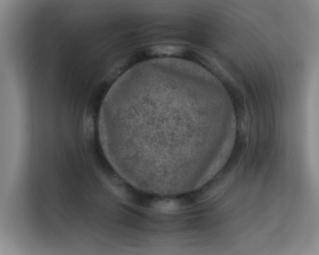 X0000113640551200910091539