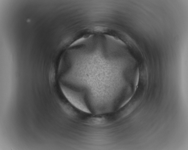 X0000113640552200910091539