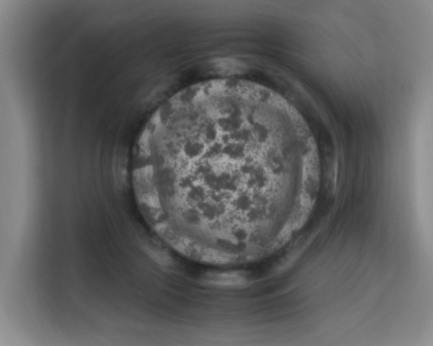 X0000113640553200910091539