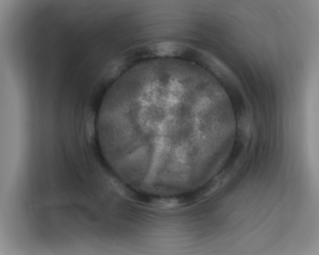 X0000113640554200910091539