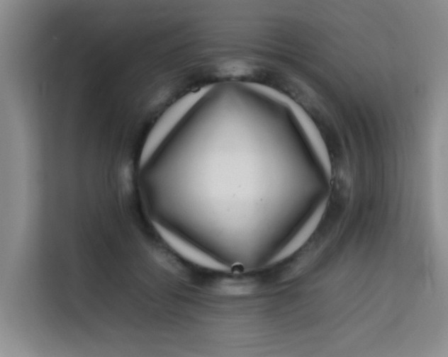 X0000113640556200910091539