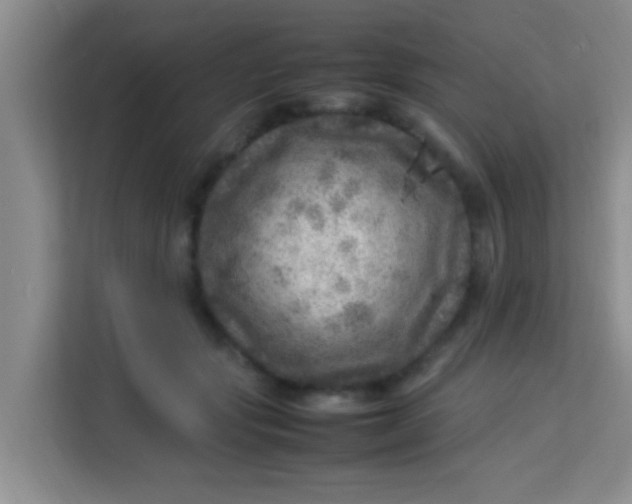 X0000113640557200910091539