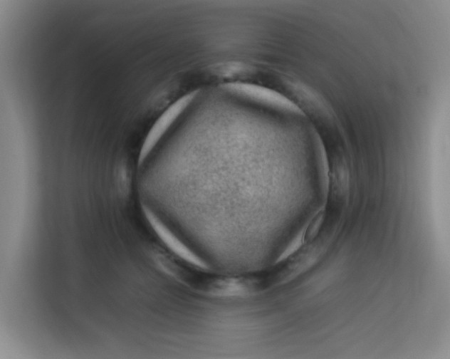 X0000113640558200910091539