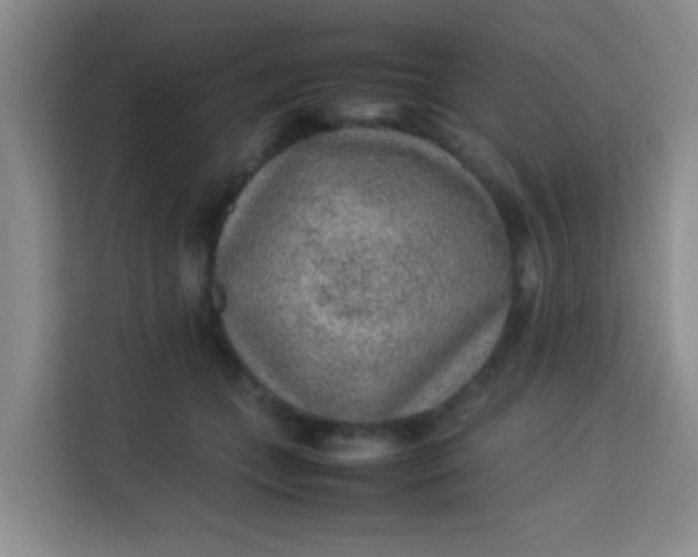 X0000113640559200910091539