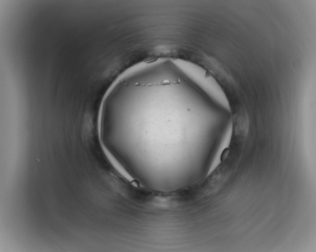 X0000113640560200910091539