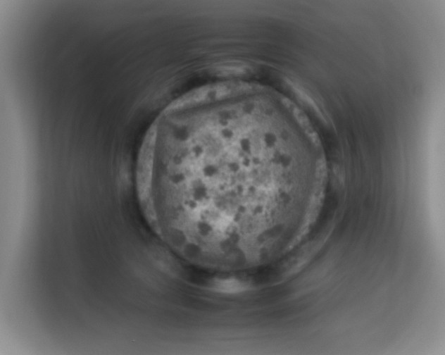 X0000113640561200910091539