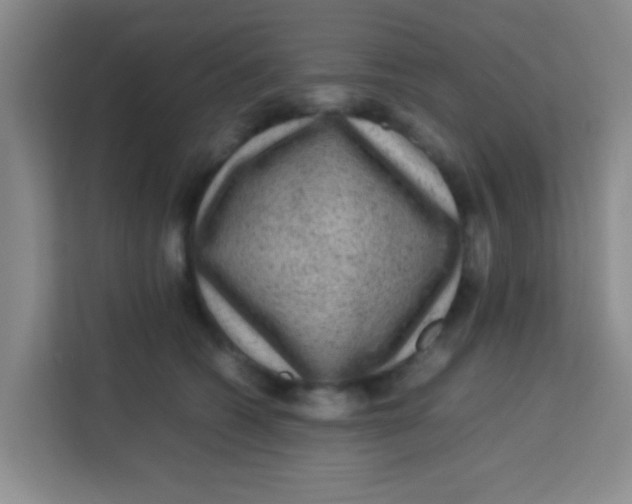 X0000113640562200910091539