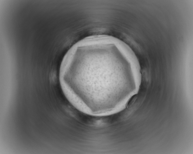 X0000113640564200910091539