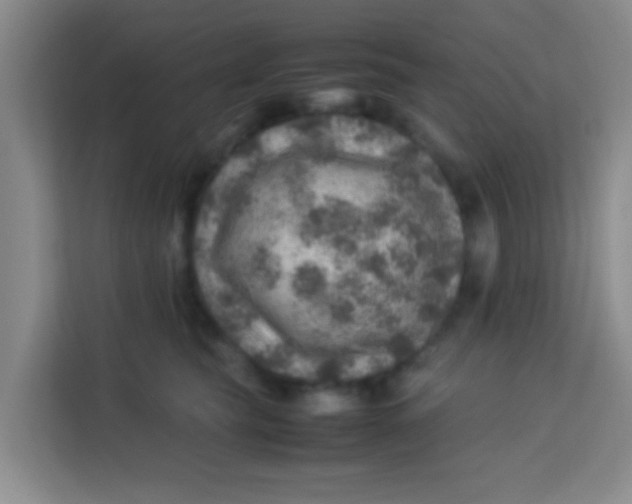 X0000113640565200910091539