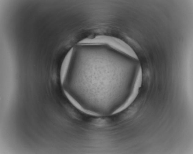 X0000113640566200910091539