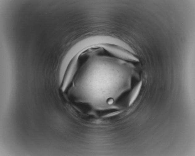 X0000113640568200910091539