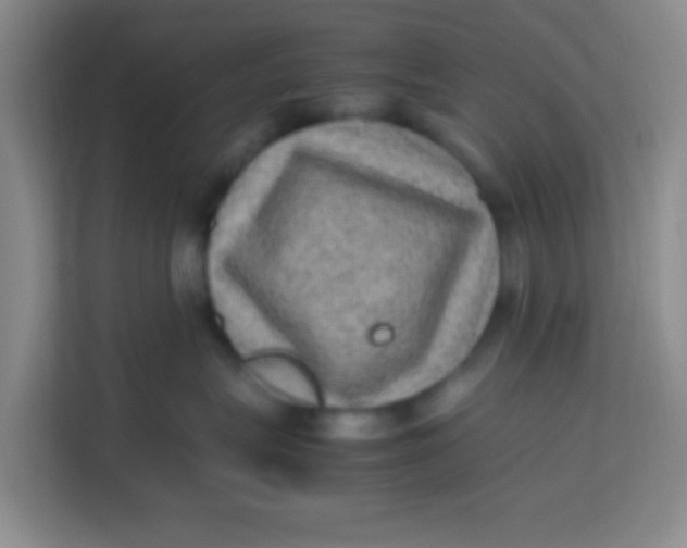 X0000113640575200910091539