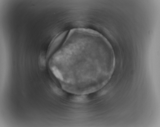 X0000113640576200910091539