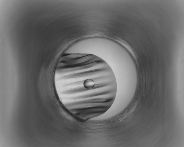 X0000113640577200910091538