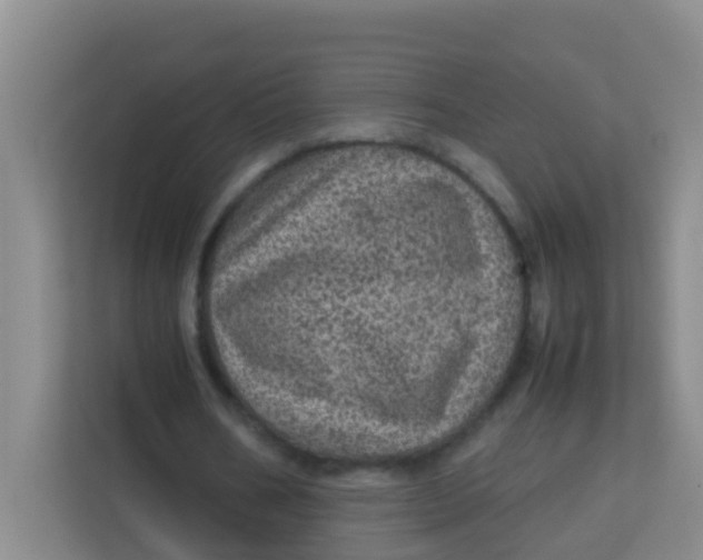 X0000113640578200910091538