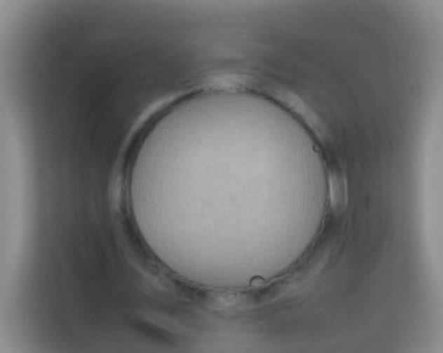 X0000113640579200910091538