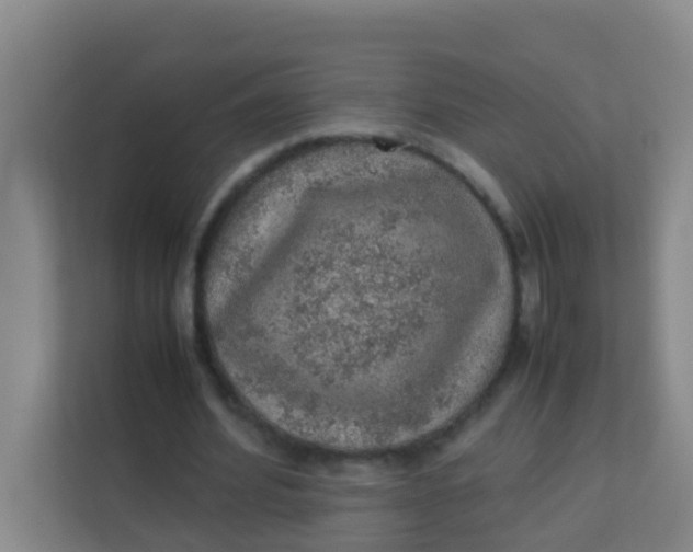 X0000113640580200910091538