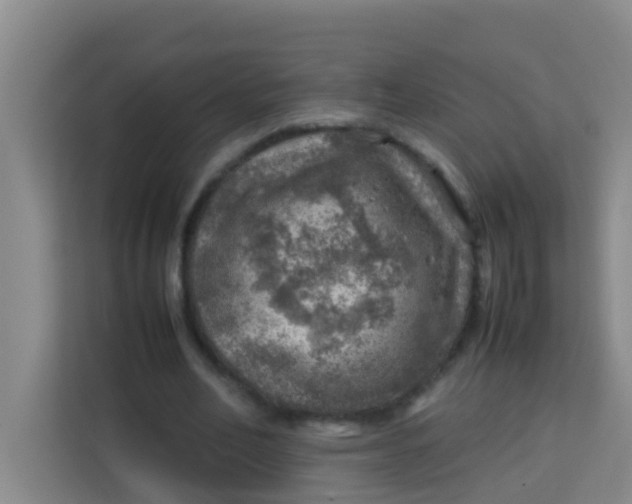 X0000113640582200910091538