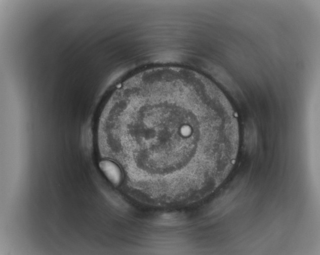 X0000113640584200910091538