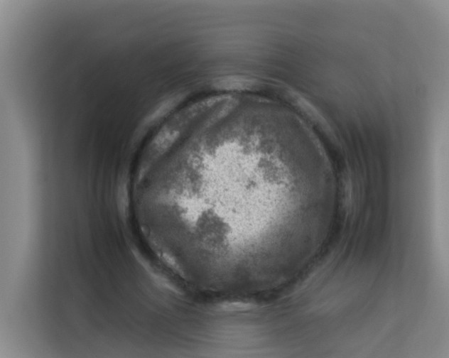 X0000113640586200910091538