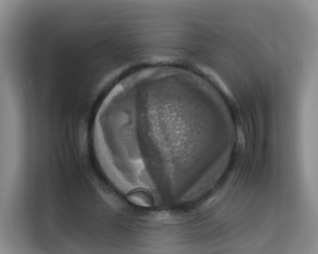 X0000113640588200910091538