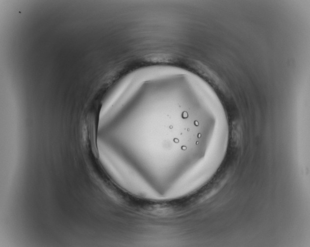 X0000113640589200910091538