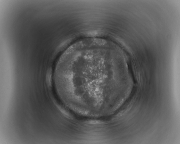 X0000113640590200910091538