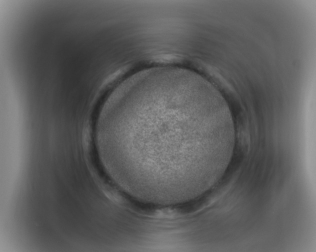 X0000113640591200910091538