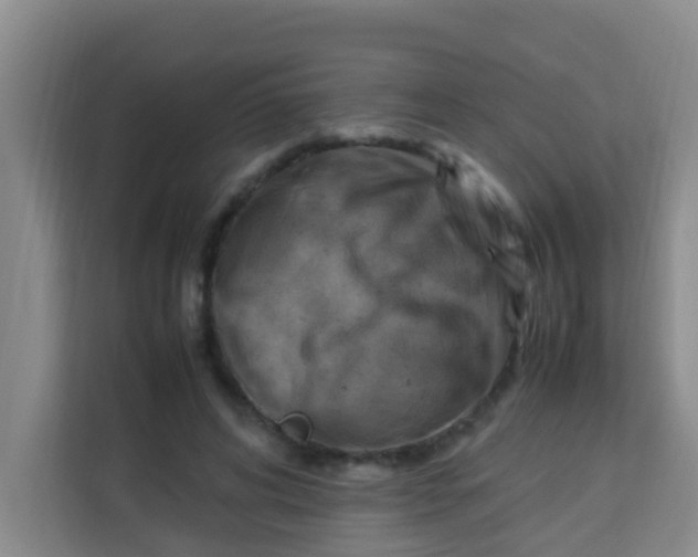 X0000113640592200910091538