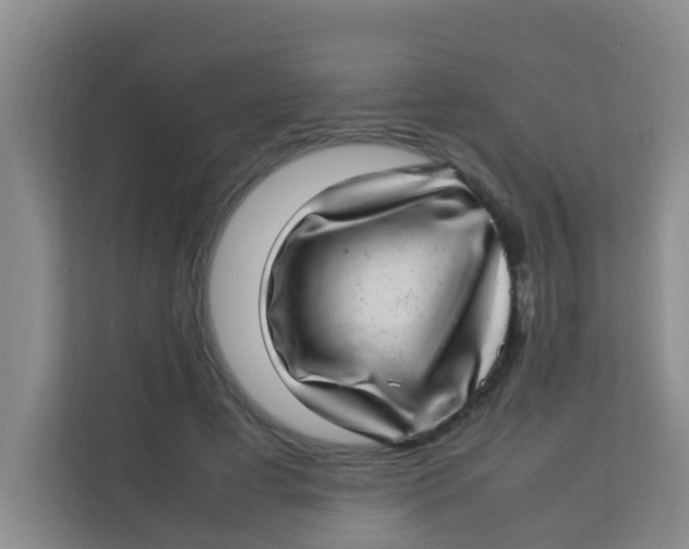 X0000113640593200910091538