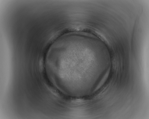 X0000113640594200910091538