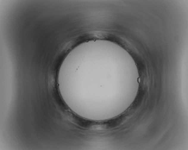 X0000113640595200910091538