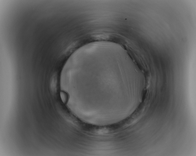 X0000113640600200910091538