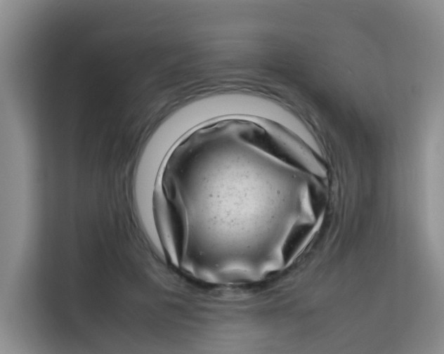 X0000113640601200910091538