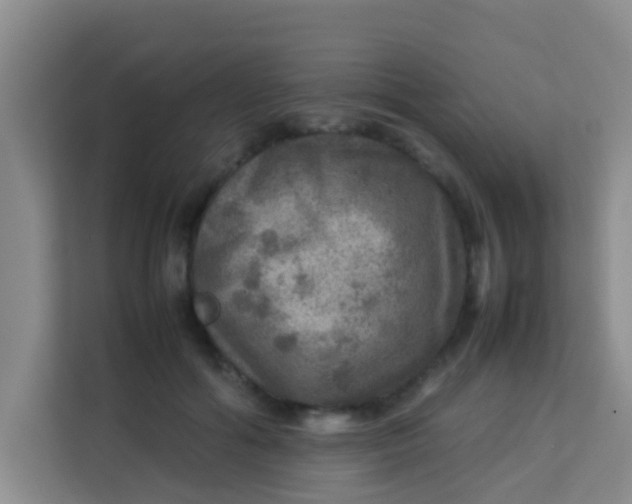 X0000113640602200910091538