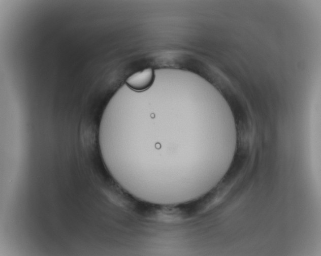 X0000113640603200910091538