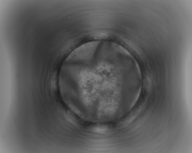 X0000113640604200910091538