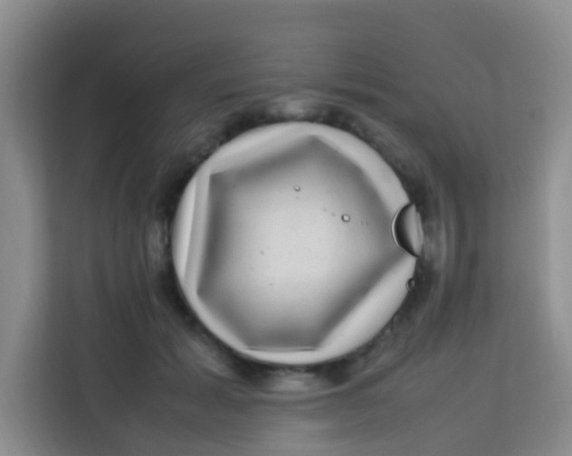 X0000113640605200910091538