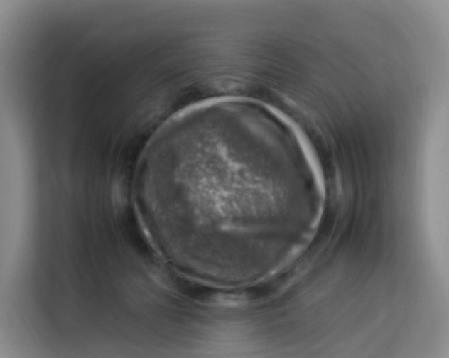 X0000113640606200910091538